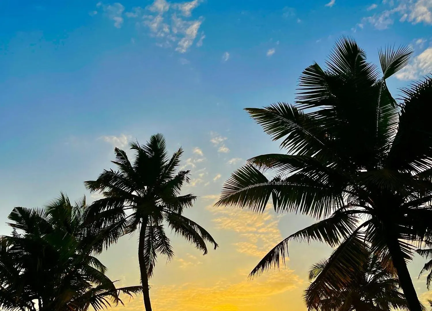 Marari Anandu Beach Villa Mararikulam Ubytování v soukromí