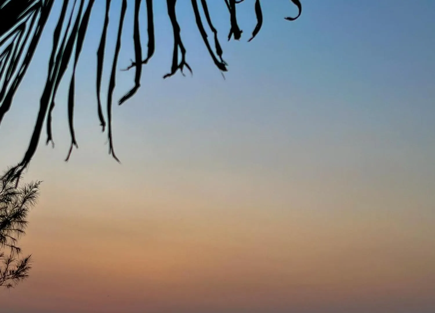 Marari Anandu Beach Villa Mararikulam Indie