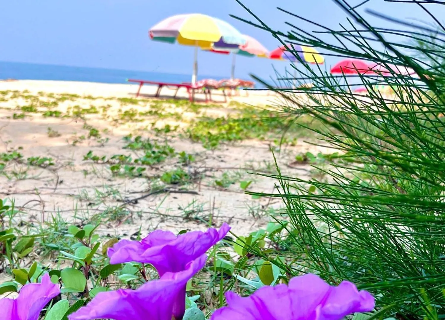 Privat bolig Marari Anandu Beach Villa Mararikulam