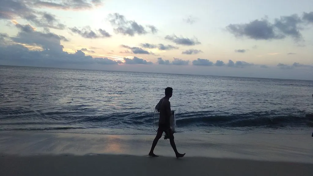 Marari Anandu Beach Villa Mararikulam 0*,  Indien