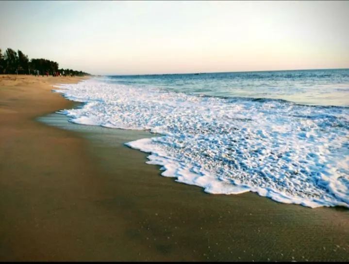 Marari Anandu Beach Villa Mararikulam